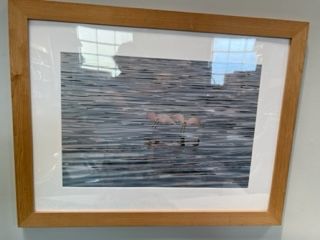framed photograph of flying Egrets