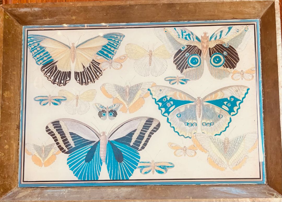 Vintage Blue Butterfly Tray