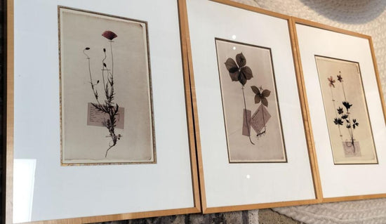Custom Framed Botanical Prints