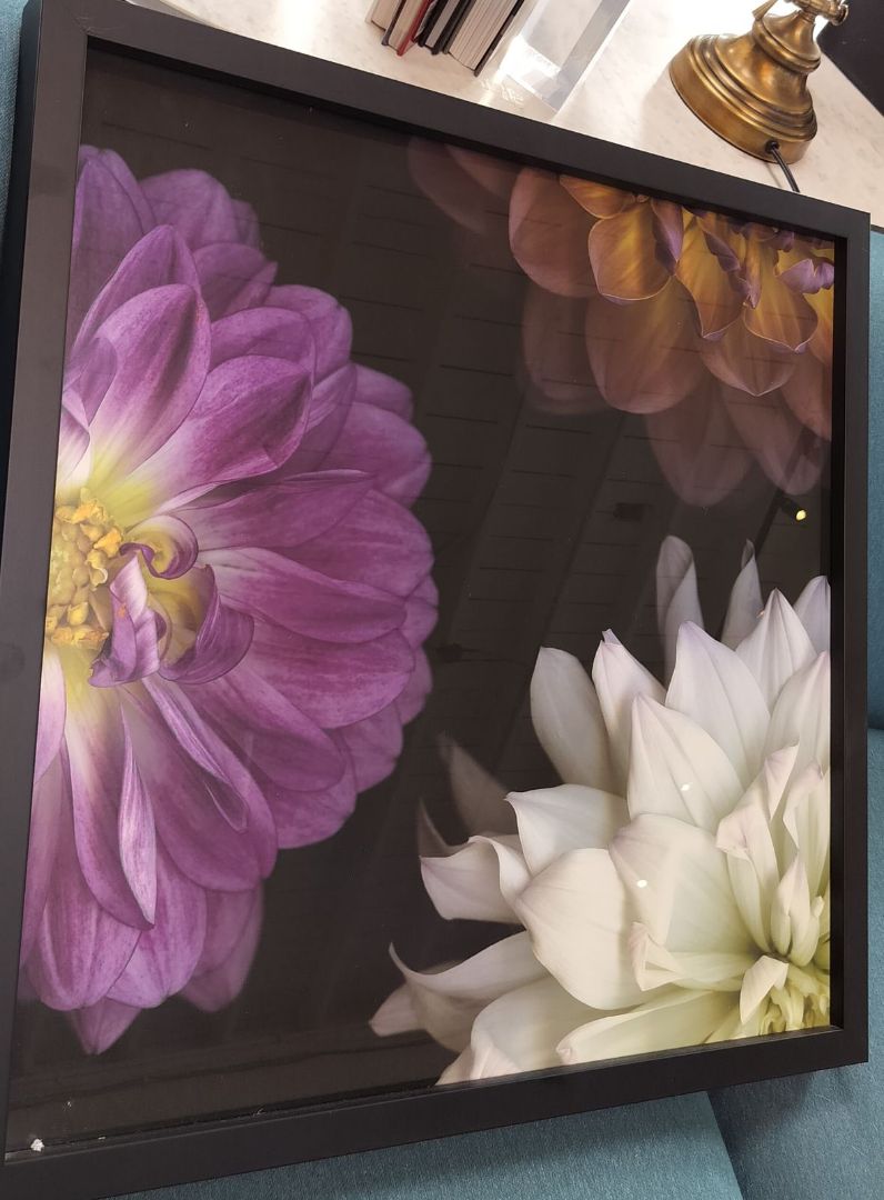 Framed Dahlia Flower Photo Print