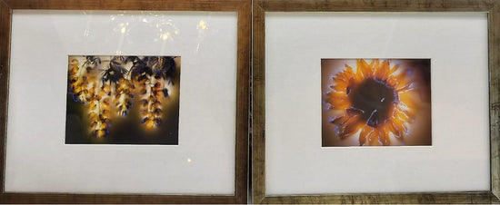 Chromogenic Development Print by Robert Buelteman. EACH