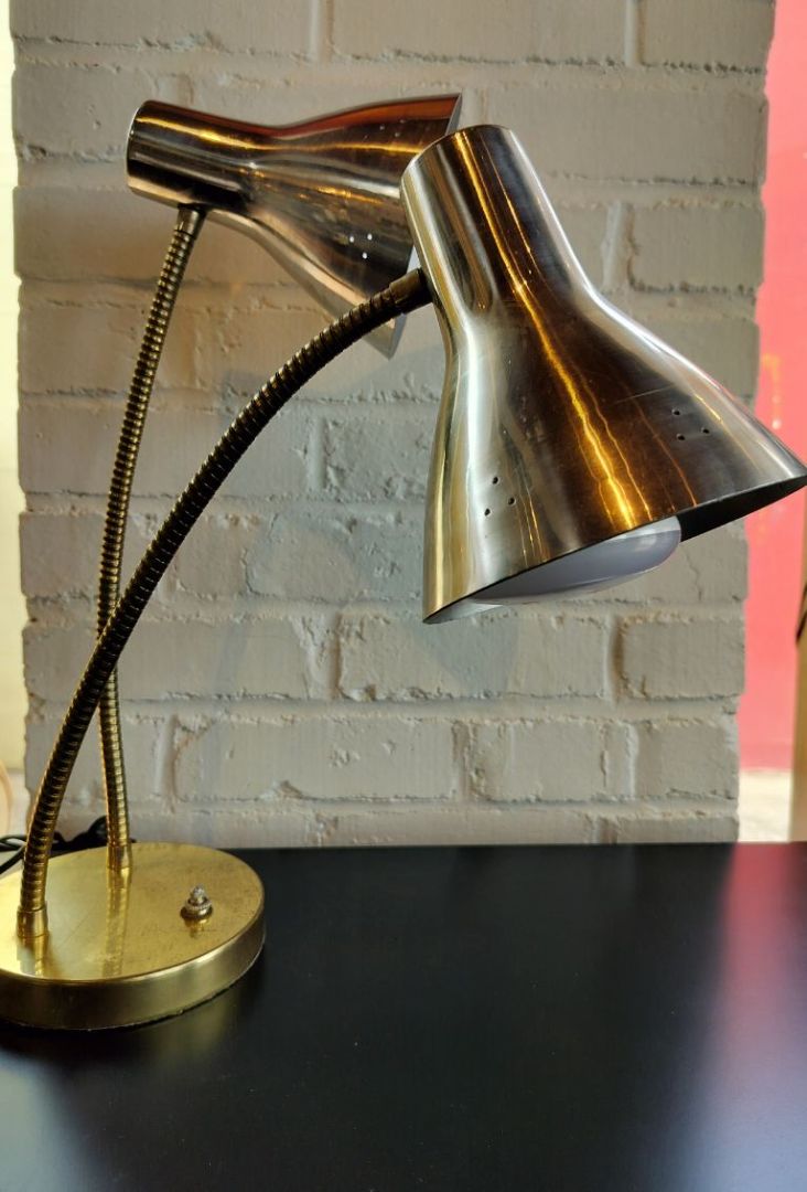 MCM Double Goosneck Lamp with Brass Base