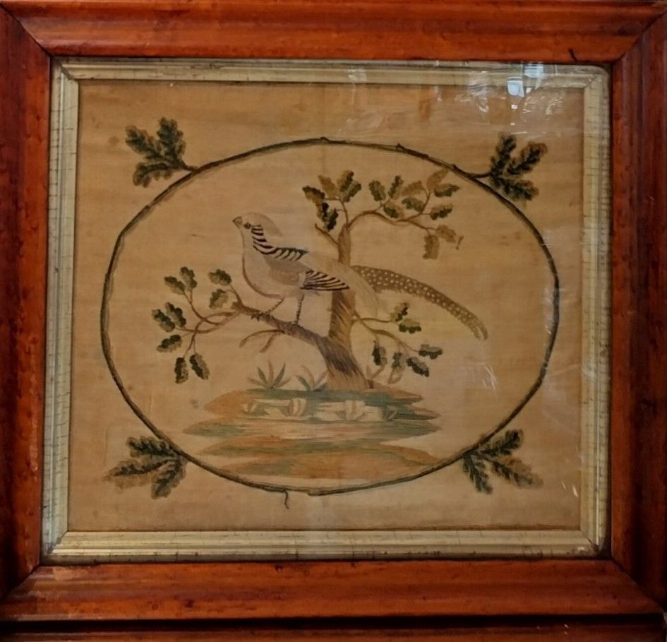 Antique Framed Art - Bird