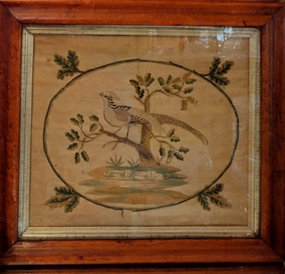 Antique Framed Art - Bird