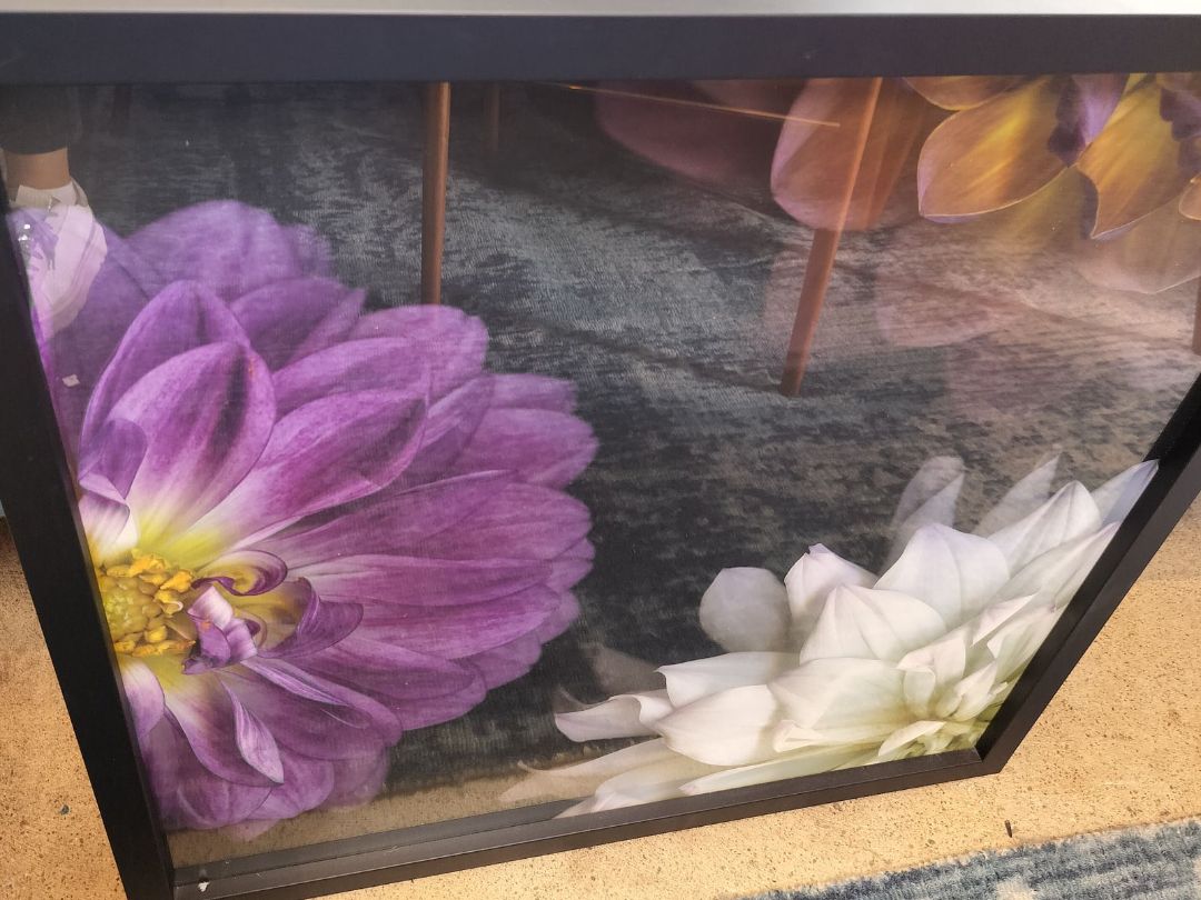 Framed Dahlia Flower Photo Print