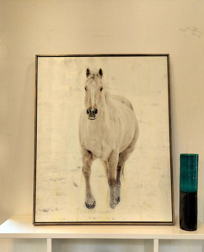 RH Teen Encaustic Horse Photography