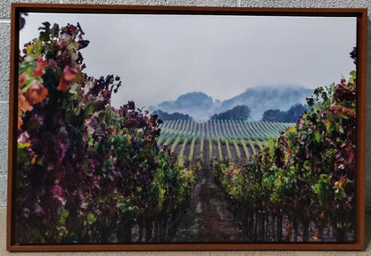 &quot;Raining Day in the Late Autumn Vineyard&quot;. Original Photography.