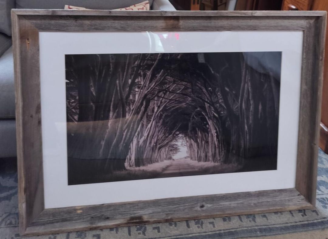 &quot;Tunnel Of Trees&quot; Original Photography by Heather Roberson.