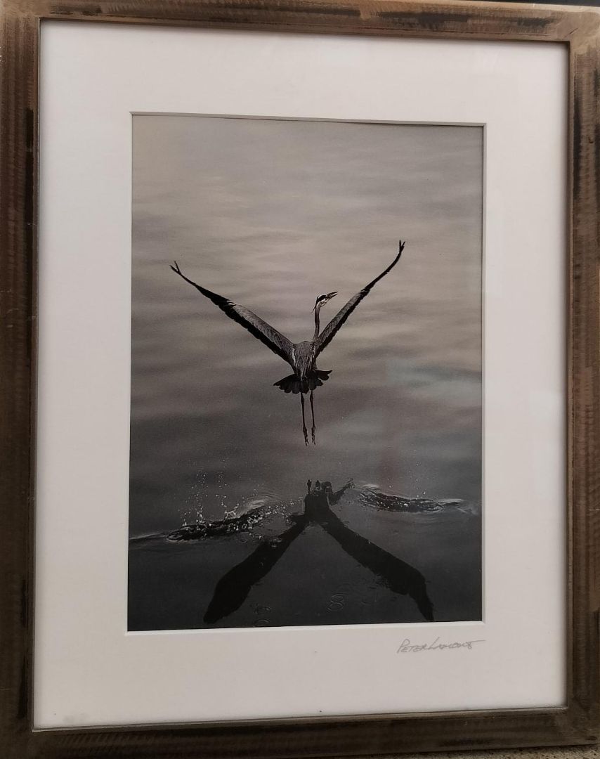 Original Photography by Peter Lamont. Custom Framed.